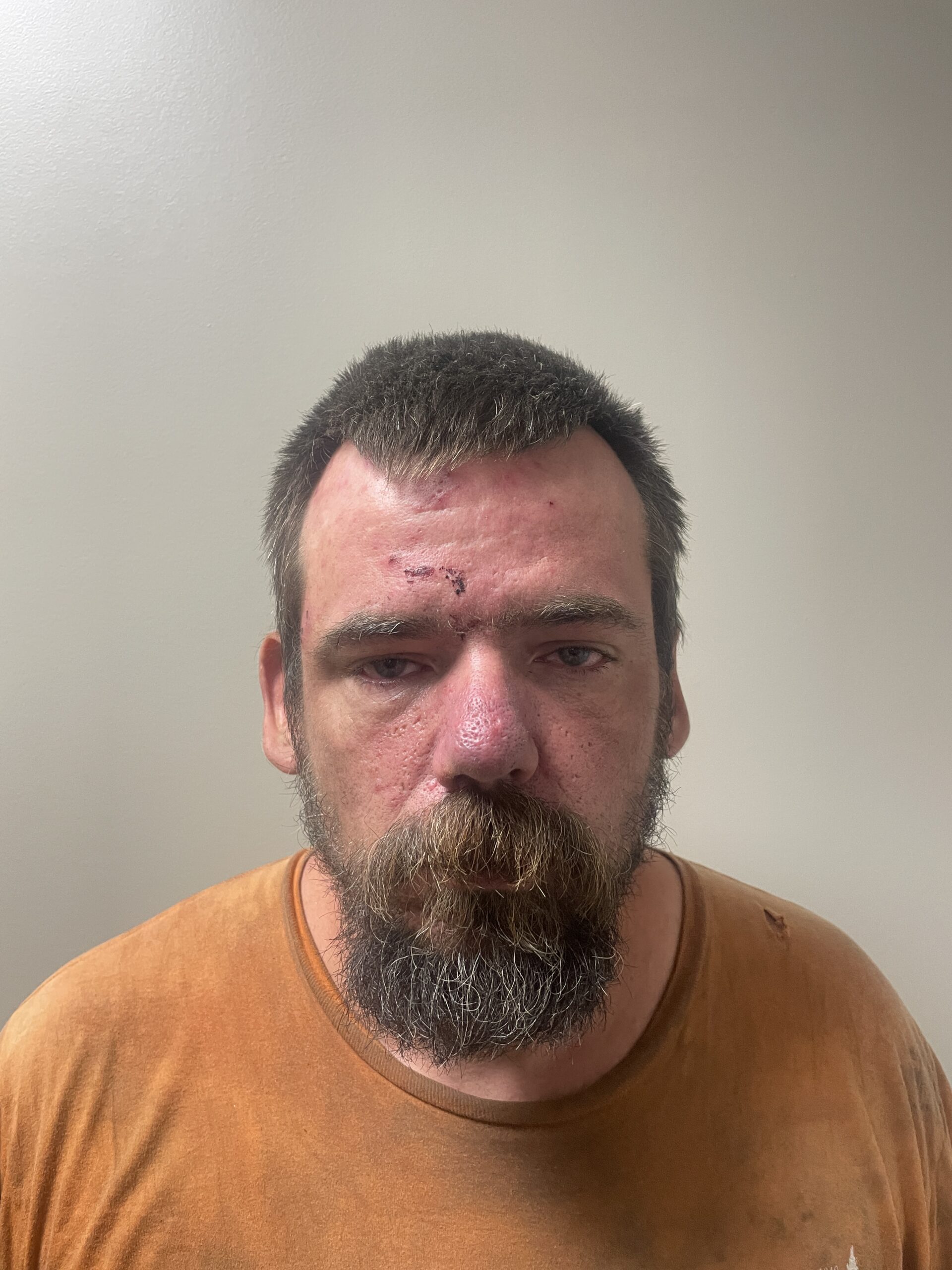 VSP apprehended man brandishing a machete in Barton