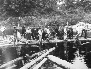 Where else but a log drive would a team of horses be rafted down a river?  Photo from Bill Gove’s book Log Drives on the Connecticut River