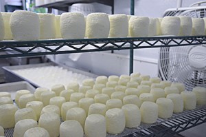 Pictured here, the “bloomies” Sweet Rowen Farmstead Cheesemaker Blair Johnson made earlier in the week were drying on racks on Friday.  In the background, more recent cheeses are being drained out in plastic containers.