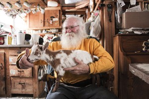 David Greenleaf helps out his wife, Bunny Greenleaf, with her goat-raising and breeding.  The little one on his lap is named Reesey.  She was enjoying the warmth inside the Greenleaf house during Friday's snow.