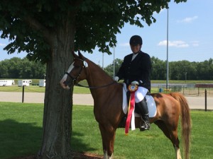 In mid-July, Steffie took reserve champion in Open Training Level Dressage at the Arabian Horse Association Regional Horse Show in Springfield, Massachusetts.  She also placed in the top five in the amateur division.   Photo courtesy of Melissa Mount