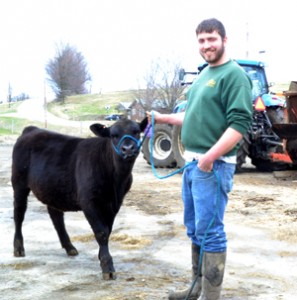 Bob Butterfield’s son, Ethan, is pictured with his seven-month-old heifer, Chloe, on one of the Spring Hill Angus farms, in Barton.  Chloe was an embryo transplant calf, or “E.T.” for short.  Her egg was taken from a top-ranking heifer.  Chloe is off to Randolph, New York, soon, to be auctioned at the New York State Angus Association sale.  Her genetics make her a desirable purchase, Mr. Butterfield said.  Someone from Montana has already expressed interest.  Photos by Natalie Hormilla